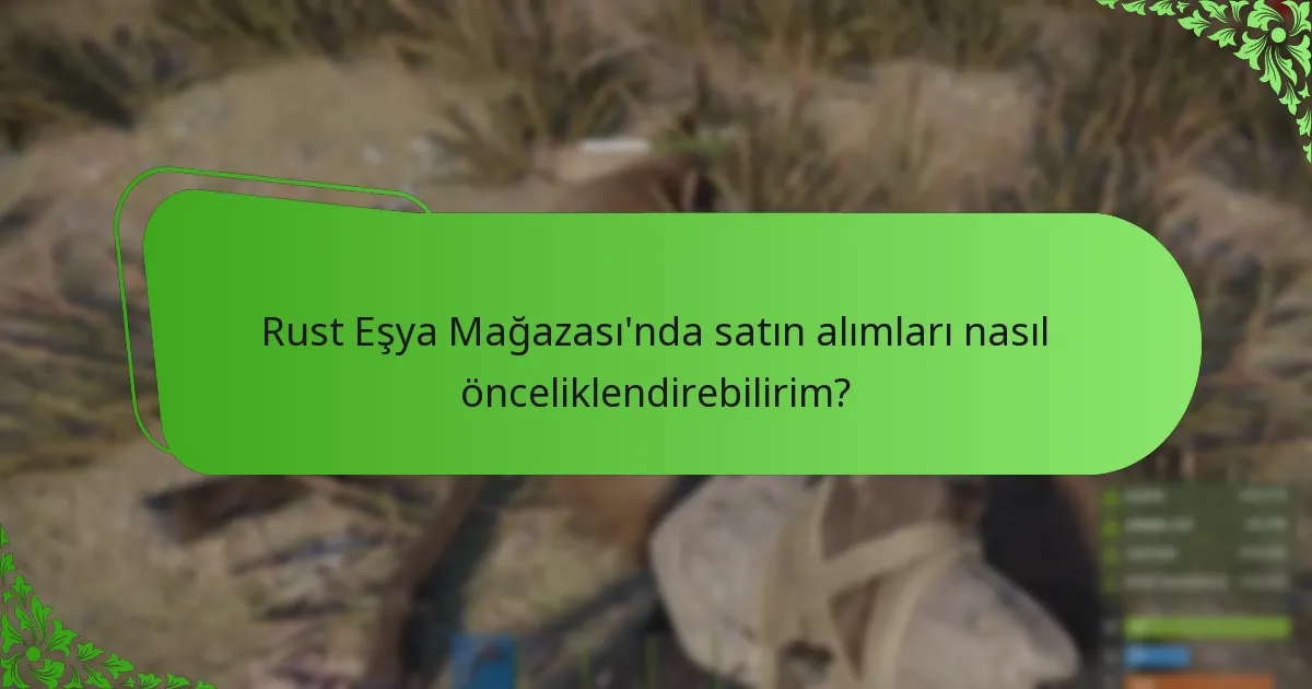 Rust Eşya Mağazası’nda satın alımları nasıl önceliklendirebilirim?